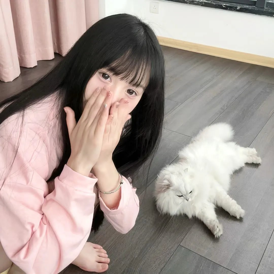 剧照6